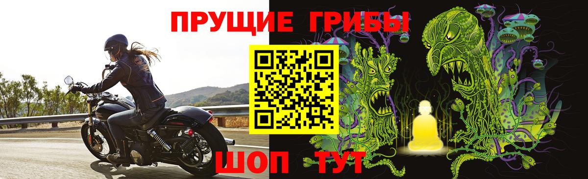 Галлюциногенные грибы Psilocybe Уссурийск